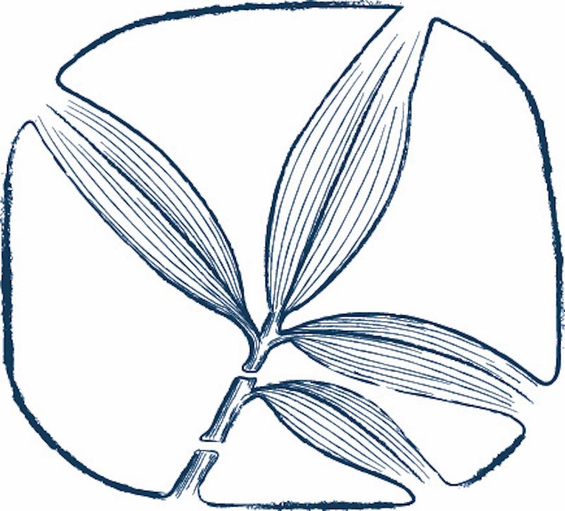 Redo Product Image